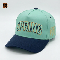 Gorra de Béisbol Snapback Personalizada con Logotipo Bordado en 3D, Dos Tonos, Estructurada, de Algodón, Estilo Urbano, Venta al Por Mayor OEM, MOQ50