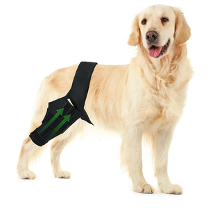Attelle de genou pour chien de compagnie pour ACL déchiré jambe arrière sangles de chat réglables protecteur de blessure chien genouillère soutien pour jambe arrière et avant - Product Image 1