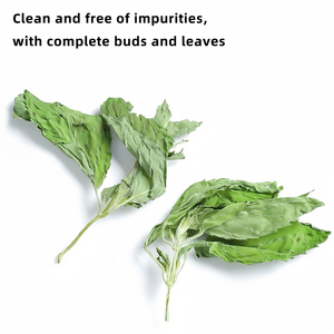 Té de Menta Verde Herbal 100% Natural al por Mayor, Procesado Fresco, Empacado a Granel, Té Adelgazante, Hoja de Menta Seca - Product Image 4