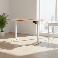 Bureau debout moderne et durable, réglable en hauteur électriquement par un seul moteur, en fer et bois, capacité de charge de 70 kg, usage commercial, fixation murale