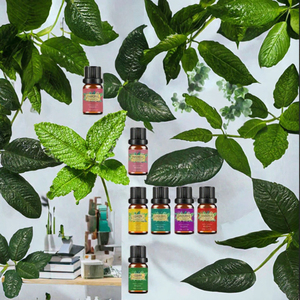 100% PURE Peppermint Wholesale <b>Candle</b> Making Fragrance Essential Oils <b>Lavender</b> Eucalyptus Rosemary Sandalwood Bulk - Product Image 3