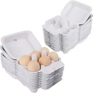 Factory Wholesale Biodegradable 20 zelle geformte papier zellstoff verpackung Fiber Egg Carton Tray