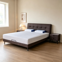 Lit Moderne de Luxe Léger et Réglable en Cuir Véritable avec Design Bicolore, Durable et Écologique pour l'Espace Domestique