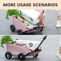Petite poussette de luxe légère portable à 4 roues pour animaux de compagnie Poussette légère pour chien de voyage en plein air