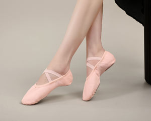 Zapatos de <span class=keywords><strong>Ballet</strong></span> de moda para mujer, zapatos elásticos de lona para niñas, zapatos de baile de <span class=keywords><strong>Ballet</strong></span> de suela blanda, zapatos planos de <span class=keywords><strong>Ballet</strong></span> con garra de gato para Yoga profesional - Product Image 1