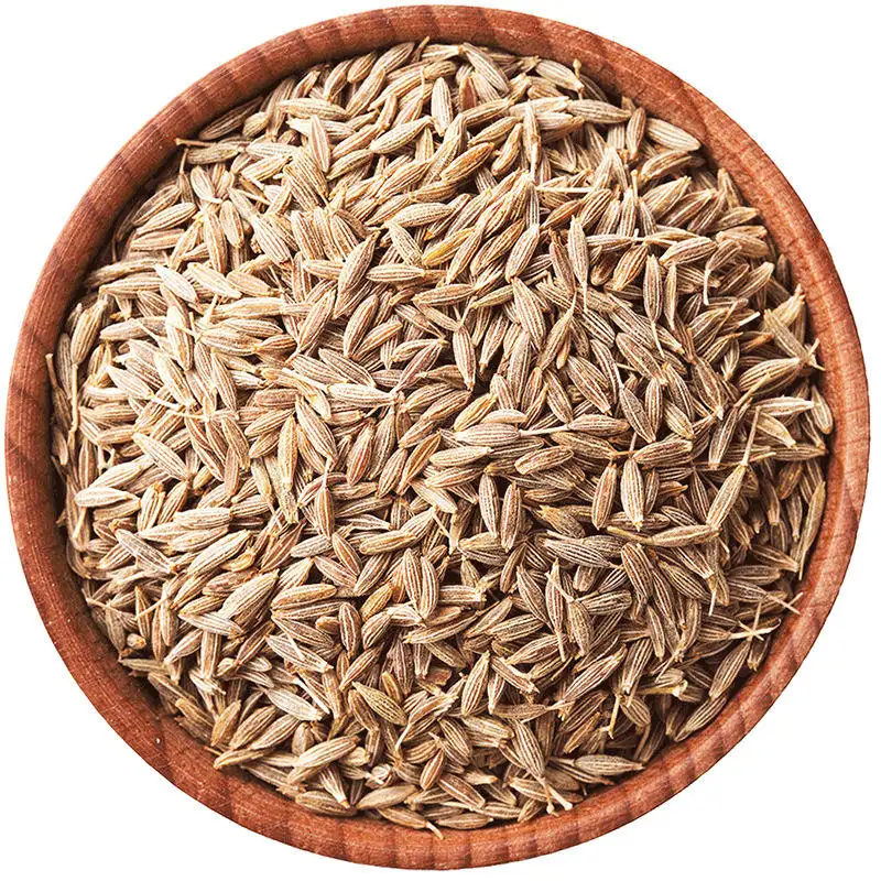 High Quality Supplier Price Indian Cumin Whole Spices Dried Cumin Seeds