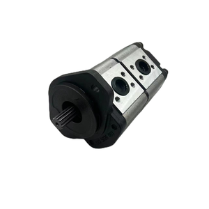 Bomba Hidráulica Nueva OEM Serie AZPGG AZPFF AZPF AZPN AZPG AZPNF AZPNN AZPFF-11-008/004RAB0101 de Alta Presión y Engranajes Externos - Product Image 4