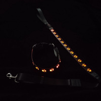 Laisse pour chien K560 2026 LED multicolore avec collier lumineux rechargeable à motif de patte unique pour animaux de compagnie