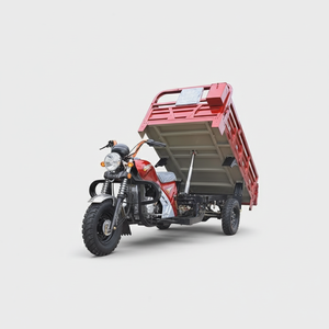 Tricycle à marchandises pour adultes à trois roues à essence à benne basculante motorisé avec cabine ouverte, vente chaude - Product Image 3