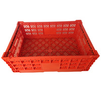 Caisse en plastique empilable pour bouteilles de bière, caisse de transport en plastique pour le stockage