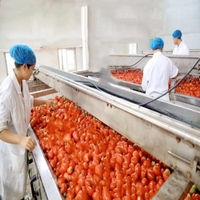Ligne de traitement des tomates Machine de fabrication de pâte de tomate Ligne de production de pâte de tomate