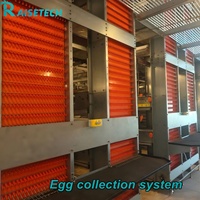 Équipement moderne pour élevages avicoles : Système de cages en batterie pour poules pondeuses pour une production d'œufs efficace