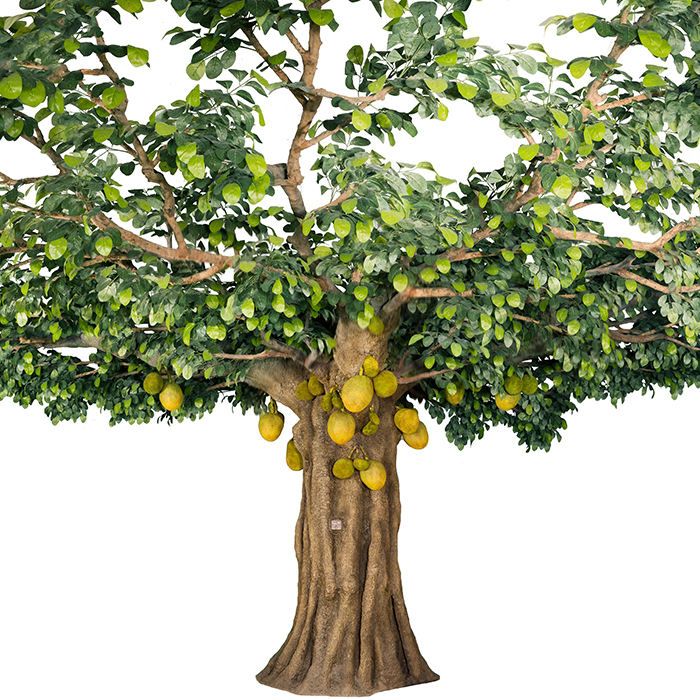 กำหนดเอง