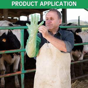 Gants vétérinaires en polyéthylène sans poudre sans <span class=keywords><strong>latex</strong></span> champ de chasse gants jetables à longueur d'épaule - Product Image 2