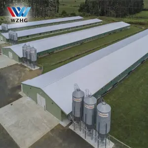Cheap free range broiler chicken farm building sandwich panel house bigger material poultry farm shed