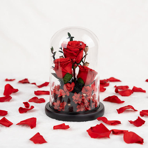 Preserved rose Pearl decorative glass Cover <b>Gift</b> <b>Box</b> Mother's Day Valentine's Day Birthday Red Pink Eternal Rose <b>Gift</b> - Product Image 2