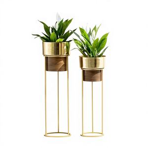 Jardinière décorative artisanale en acier doré poli, design élégant, écologique, pour salon, entrée, table, jardin - Product Image 1