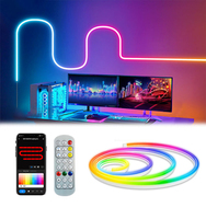 Bande lumineuse fluo en silicone couleur variable 08x17MM avec contrôle WIFI TUYA 24V 5M IP67 étanche nouveau Style pour chambre parc