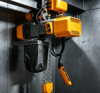 Palans électriques à chaîne antidéflagrants à commande à distance, 3 tonnes, simple ou double vitesse, pour les opérations de levage en usine et en entrepôt
