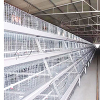 Nouvelle cage à poules pondeuses multifonctionnelle en acier galvanisé à chaud de type A avec garantie de 5 ans