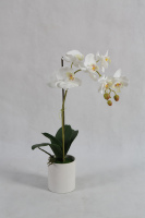 Vente en gros d'usine, fausse tige naturelle, papillon artificiel, orchidée, fleur en Pot pour la maison, le bureau, décoration de fête de mariage