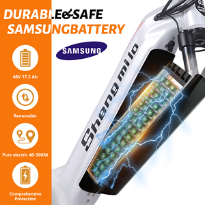 Bicicleta Eléctrica MX-06, Frenos de Disco de Aleación de Aluminio, 48v 17.5ah, Máx. 40km/h, <span class=keywords><strong>Amortiguador</strong></span> Delantero - Product Image 2