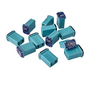 Mini Fusible de Corte Lento DC32V 15A 20A 25A 30A 40A con Retardo de Tiempo para Circuito de Motor de Elevalunas de Coche, Estándar RoHS ELV ISO - Product Image 1