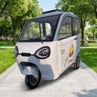 Tricycle électrique entièrement fermé à 2 portes, cabine fermée, 3 roues, véhicule électrique pour adultes, pour les trajets familiaux