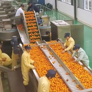 Giá tốt nhất Orange citrus tập trung nước trái cây chế biến dây chuyền sản xuất nhà máy máy nhà sản xuất - Product Image 1