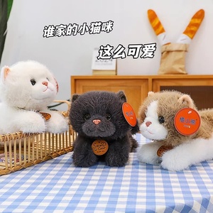 Two Styles of Small <b>cat</b> <b>Plush</b> Toy Pillow Ornament, Cute and Adorable Small <b>cat</b> Home Decoration, Suitable for Festival Gifts - Product Image 6