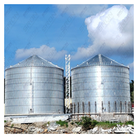 Precio de Fábrica SRON SILO Silo de Acero Galvanizado para Granos / Tanque de Almacenamiento de Alimentos con Capacidad de 50 Toneladas a 15000 Toneladas para Monitoreo PLC 25-40