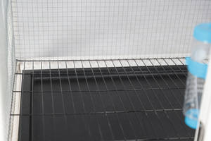 Chilochilo vendita di fabbrica conigliera in legno gabbia per coniglietti in legno per esterni gabbia per conigli casa per porcellini d'india con vassoio - Product Image 5