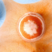 Bliss livraison directe vente chaude boîte personnalisée Pack marque privée bio naturel végétalien pétillant bain moussant bombes ensemble neuf planètes