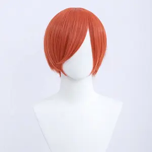 Wholesale 30cm Short Bobo Wig Cosplay Multi Colors MSN Straight Synthetic Anime Hair Cosplay Heat Resistant Wigs For Party