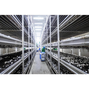 Industrial Metal Button Mushroom Grow Rack Aluminum Alloy Mushroom <b>Cultivation</b> Shelves Sturdy And Long-lasting - Product Image 3