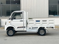 Mini-pickup électrique 2026 EE COC pour l'Europe, véhicule utilitaire 4 roues, 2 places, avec benne de chargement
