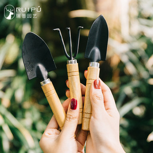 RUIPU Mini 3-Piece <b>Garden</b> <b>Tool</b> <b>Set</b> Wooden Handle Iron Head For Planting Flowers Succulents Home Use - Product Image 5