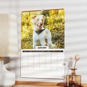 <span class=keywords><strong>Calendrier</strong></span> mural en spirale en papier personnalisé LIUSHUN Zhejiang Factory 2027, imprimé avec photo, pour la promotion de la marque et la promotion commerciale - Product Image 3