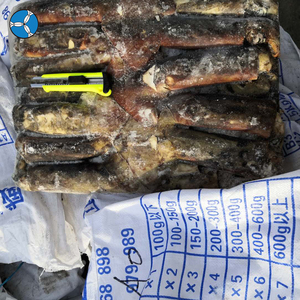 SANFENG SEAFOOD Prix de gros <span class=keywords><strong>Calamar</strong></span> géant du Pérou congelé à vendre - Product Image 2