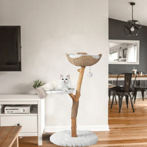 Modern <b>Cat</b> <b>Tree</b>-Multi Level Natural <b>Wood</b> <b>Cat</b> Tower-Unique Design Easy Climb for Small and Old <b>Cats</b> - Product Image 6