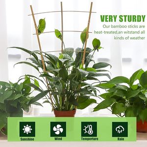 Enrejado de <span class=keywords><strong>Bambú</strong></span> para Jardín - 61 cm de Alto, Perfecto para Plantas Trepadoras, Vegetales y Macetas - Mejora tu Jardín con <span class=keywords><strong>Bambú</strong></span> Natural - Product Image 4