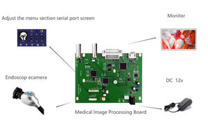 โมดูลกล้องเอ็นโดสโคป 1080P FHD 4 อินเทอร์เฟซเอาต์พุต บันทึกวิดีโอดิจิตอล เมนบอร์ด อุปกรณ์วินิจฉัยสัตว์  วัสดุโลหะ มาตรฐาน CE - Product Image 4