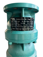 Pompe submersible pour puits profond en fonte multi-étages pour l'irrigation des cultures, l'arrosage des jardins et l'alimentation en eau des forages