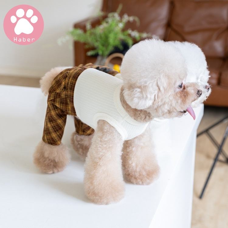 กางเกงขายาว