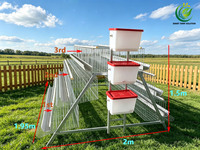Nouvelle cage à poules à 3 niveaux en acier galvanisé à chaud pour poules pondeuses, capacité de 96 oiseaux, équipement avicole automatique