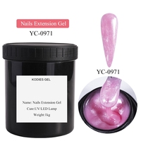 Vernis à ongles acrylique de construction de qualité pour les salons de manucure et les studios, extension de gel UV dur, 1kg