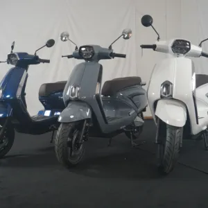 Hızlı tedarikçi 2 tekerlekler yağ lastik yüksek hız citycoco EEC ile 3000w 60V ves pa elektrikli scooter