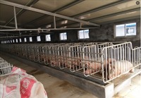 Caisses de mise bas de porcs galvanisées de lit de gestation de truie de haute qualité