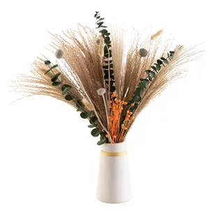 Haupt dekoration Hochzeits blume konserviert Boho Pampas Gras natürliche trockene Mini getrocknete Blumenstrauß