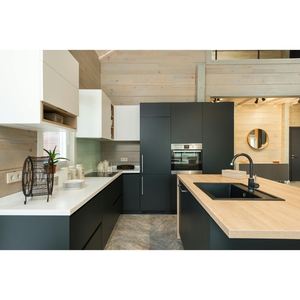 بريما خزانة مطبخ أنيقة طلاء نهائي وتخزين عملي للمنازل الحديثة تصميم خاص باب خزانة شاكر - Product Image 2